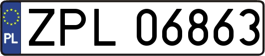 ZPL06863