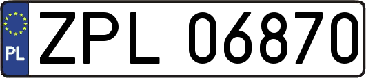 ZPL06870