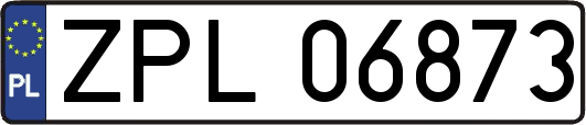 ZPL06873