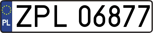 ZPL06877