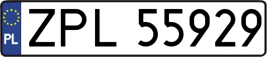 ZPL55929