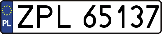 ZPL65137