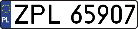 ZPL65907