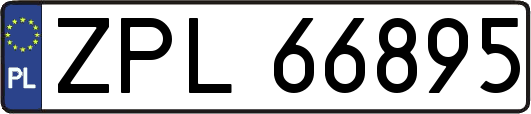 ZPL66895