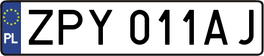 ZPY011AJ