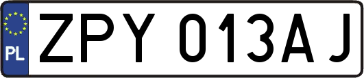 ZPY013AJ
