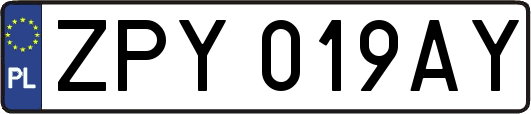 ZPY019AY