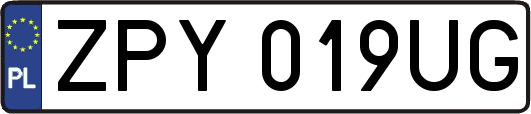 ZPY019UG