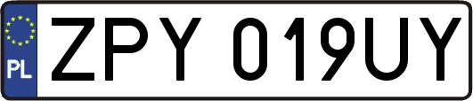 ZPY019UY