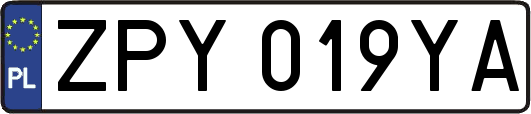 ZPY019YA