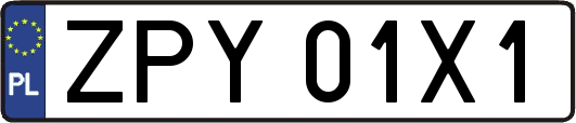 ZPY01X1