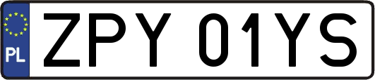 ZPY01YS