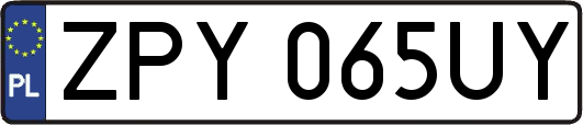 ZPY065UY