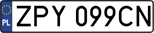 ZPY099CN