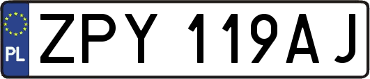 ZPY119AJ