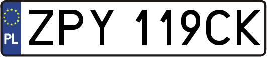 ZPY119CK