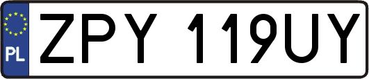 ZPY119UY