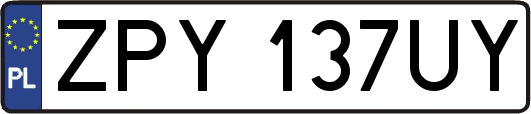 ZPY137UY