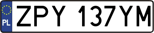 ZPY137YM