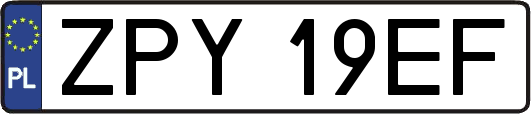 ZPY19EF