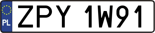 ZPY1W91