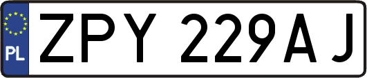 ZPY229AJ
