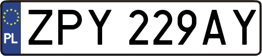 ZPY229AY