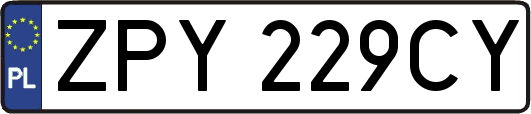 ZPY229CY