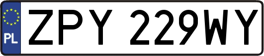 ZPY229WY