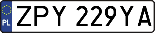 ZPY229YA