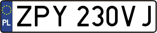 ZPY230VJ