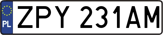 ZPY231AM