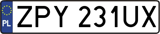 ZPY231UX