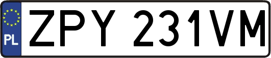 ZPY231VM