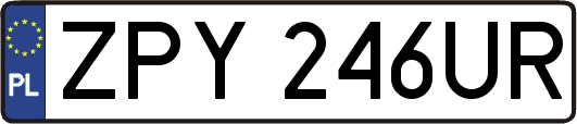 ZPY246UR