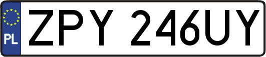 ZPY246UY