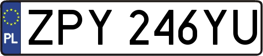 ZPY246YU