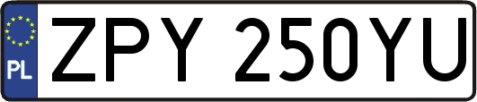 ZPY250YU