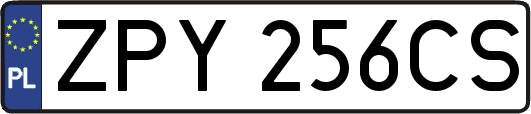 ZPY256CS