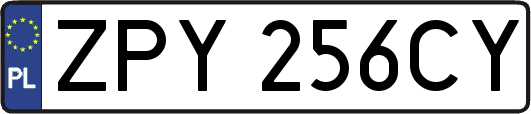 ZPY256CY