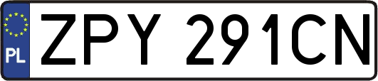 ZPY291CN