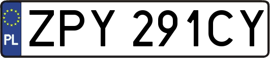ZPY291CY