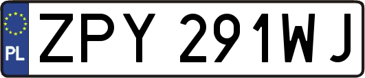 ZPY291WJ