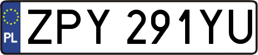ZPY291YU