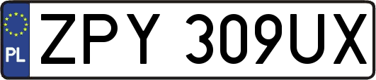 ZPY309UX