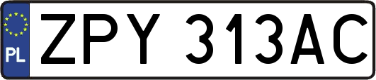 ZPY313AC
