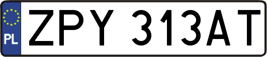 ZPY313AT