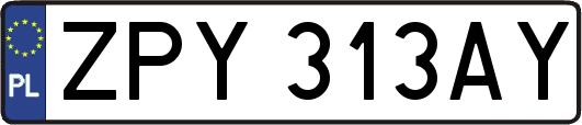 ZPY313AY