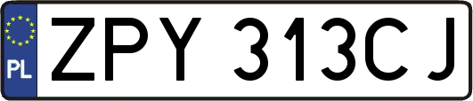 ZPY313CJ