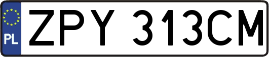 ZPY313CM